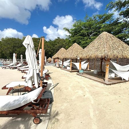 La Ruche De Maia - Blue Dream Beach - Piscine - Jardin - Plage Grand-Bourg  外观 照片