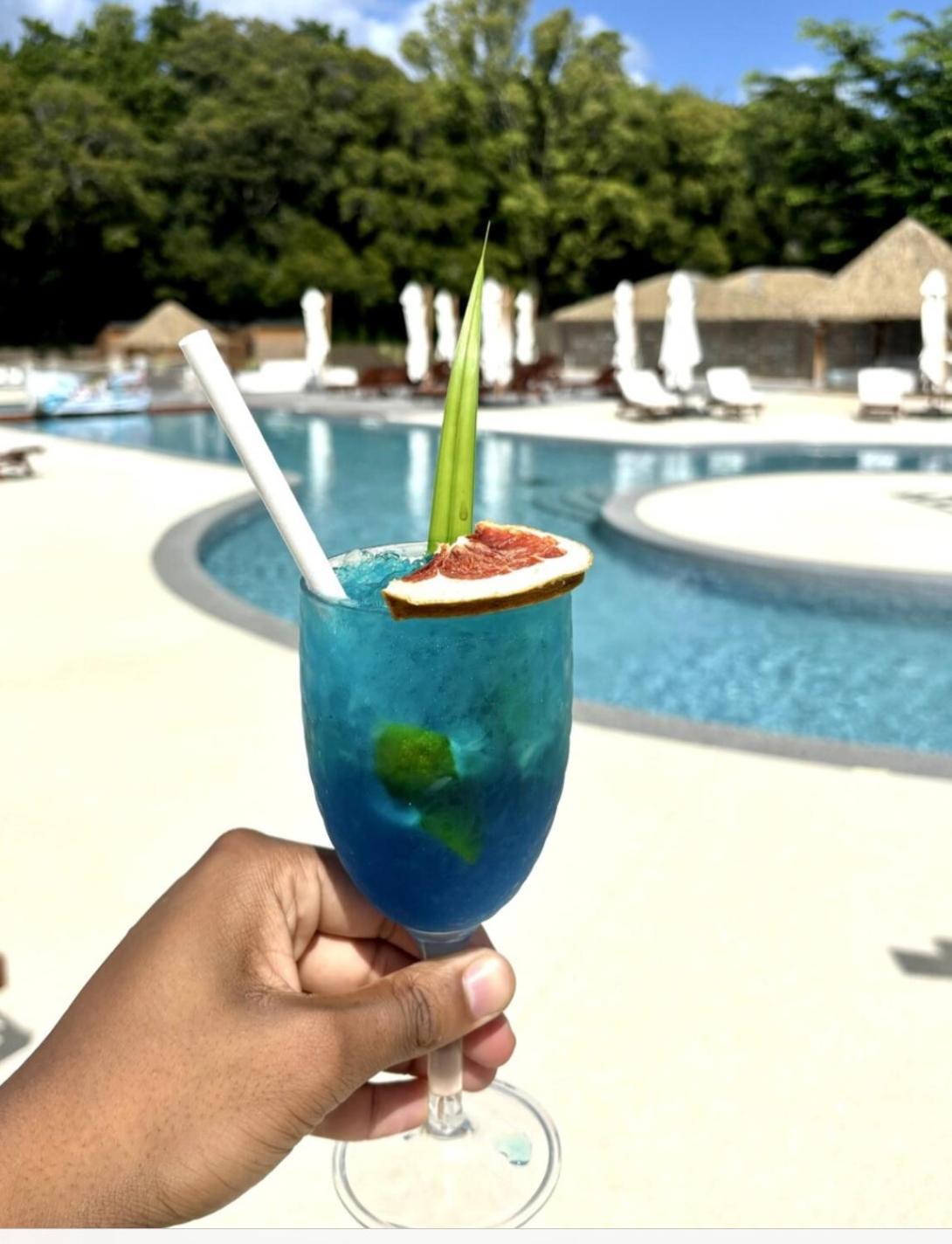 La Ruche De Maia - Blue Dream Beach - Piscine - Jardin - Plage Grand-Bourg  外观 照片
