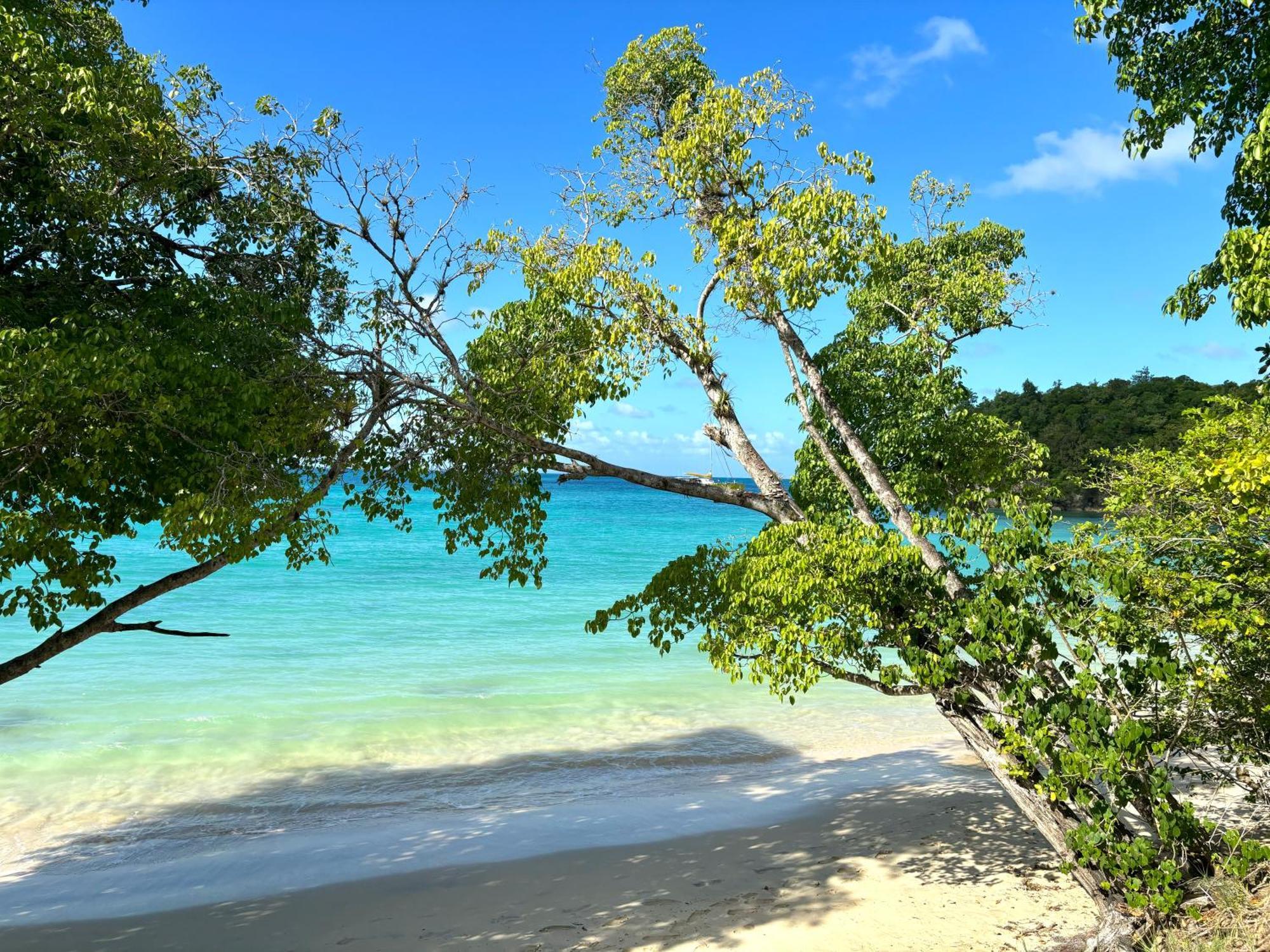 La Ruche De Maia - Blue Dream Beach - Piscine - Jardin - Plage Grand-Bourg  外观 照片
