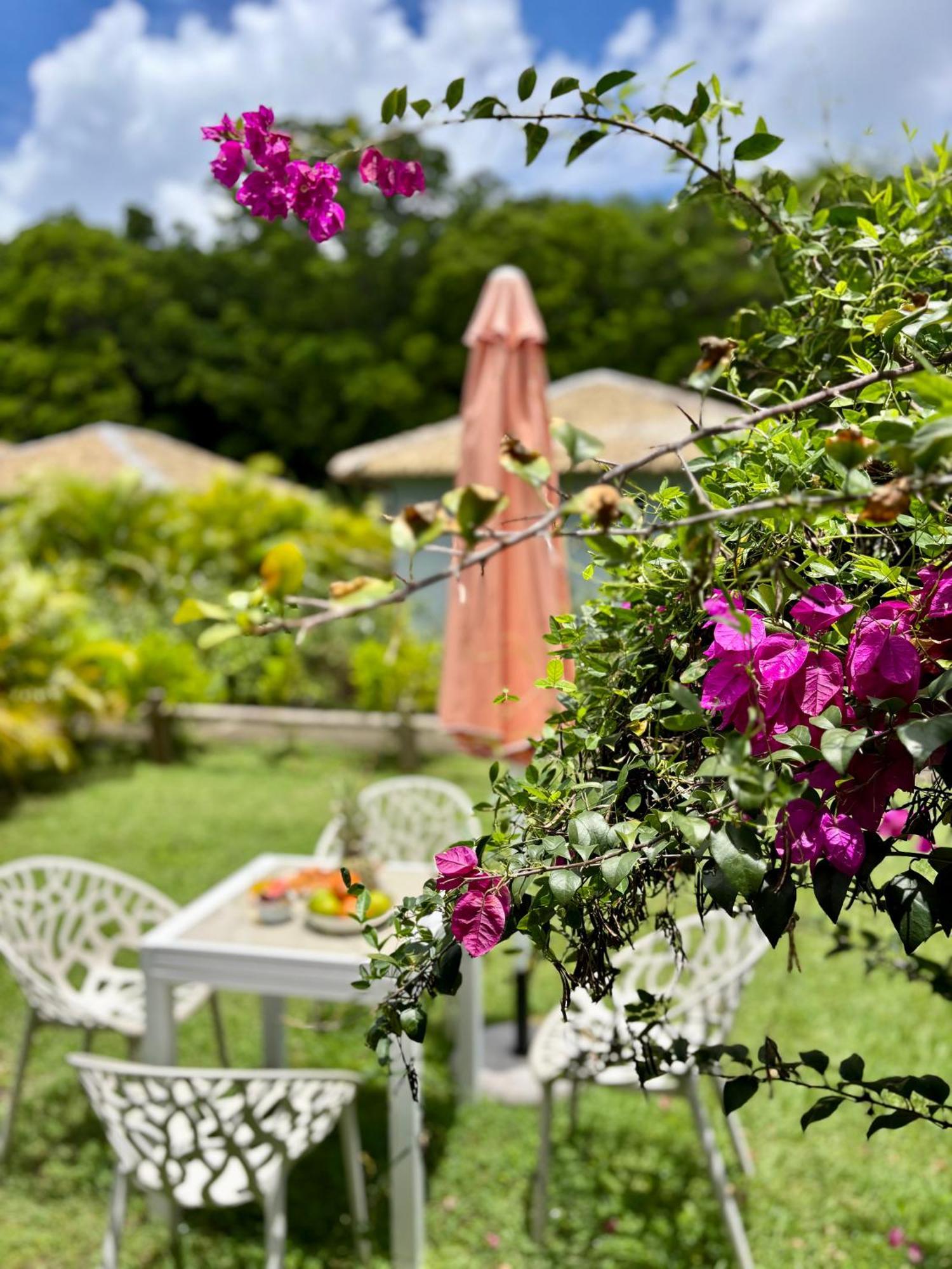 La Ruche De Maia - Blue Dream Beach - Piscine - Jardin - Plage Grand-Bourg  外观 照片